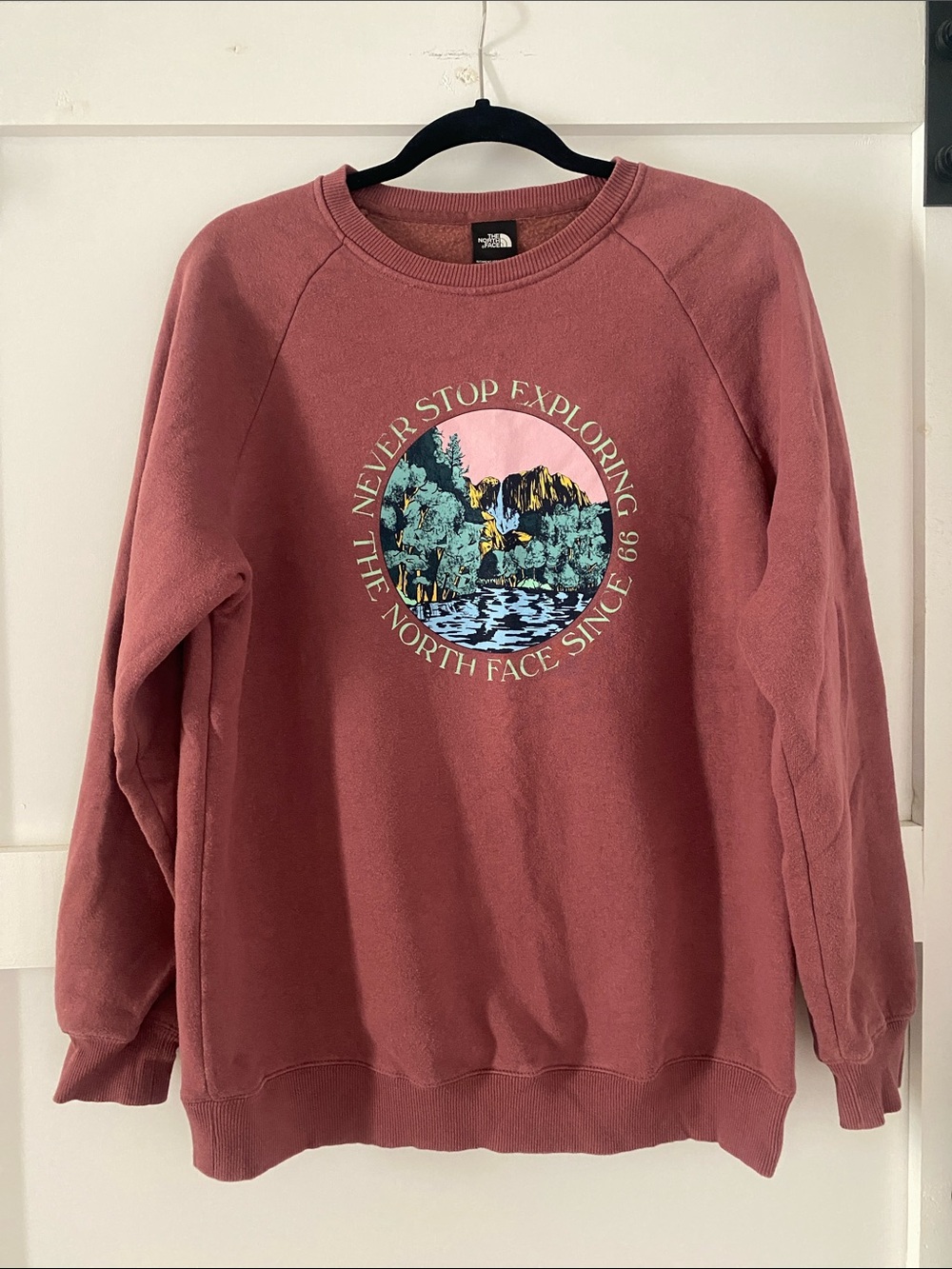 The North Face Dusty Rose Graphic Crewneck Sweatshirt